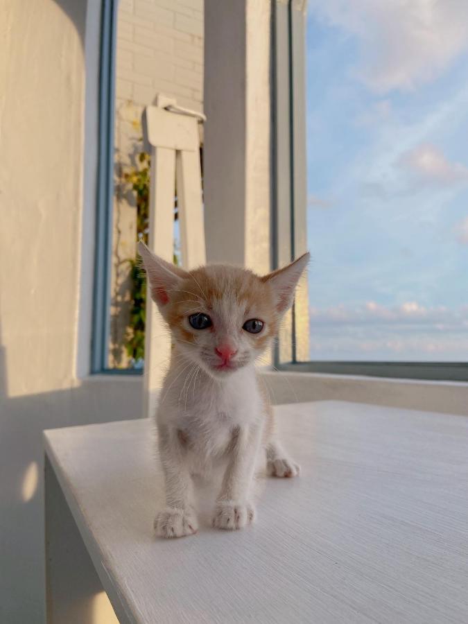 Kenting Met Hi Inn Cape Eluanbi Bagian luar foto